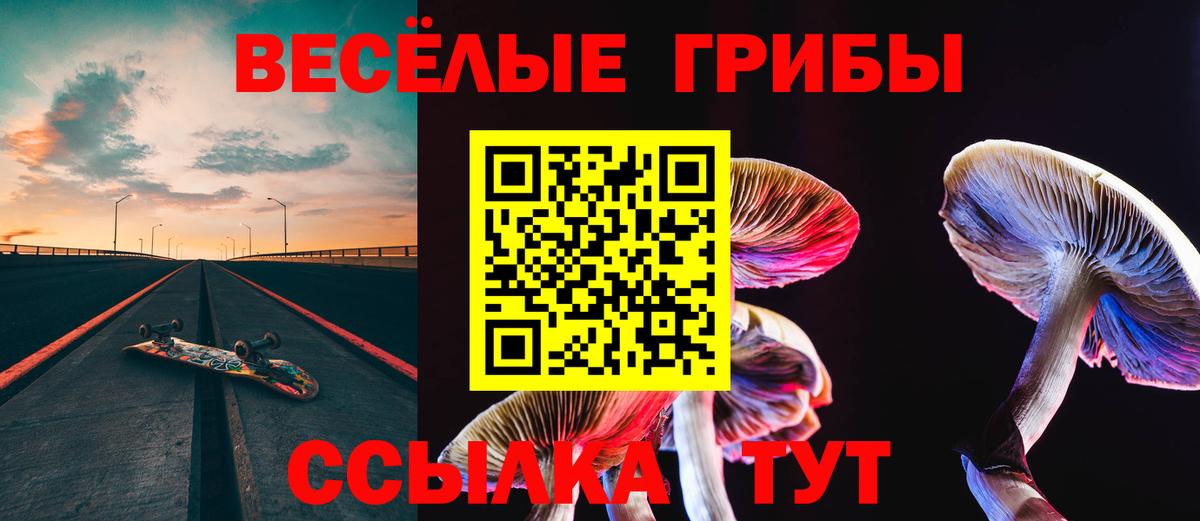 Псилоцибиновые грибы Psilocybe  Вход с VPN  Вичуга 